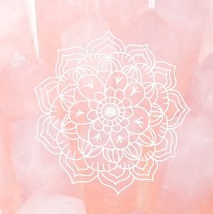 Meet your Posher, Madalyn